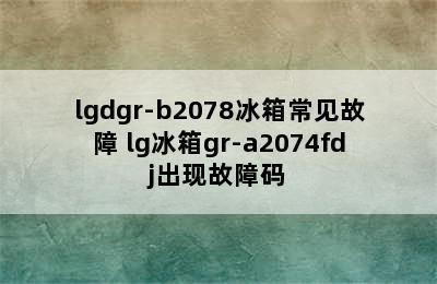 lgdgr-b2078冰箱常见故障 lg冰箱gr-a2074fdj出现故障码